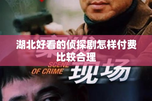 湖北好看的侦探剧怎样付费比较合理