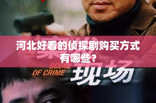 河北好看的侦探剧购买方式有哪些？