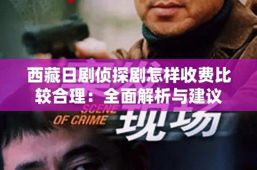 西藏日剧侦探剧怎样收费比较合理：全面解析与建议