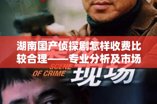 湖南国产侦探剧怎样收费比较合理——专业分析及市场趋势