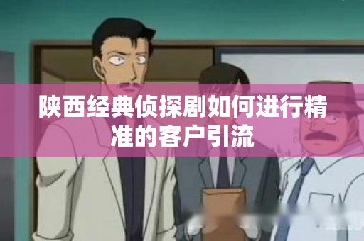陕西经典侦探剧如何进行精准的客户引流