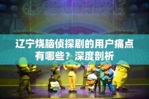 辽宁烧脑侦探剧的用户痛点有哪些？深度剖析