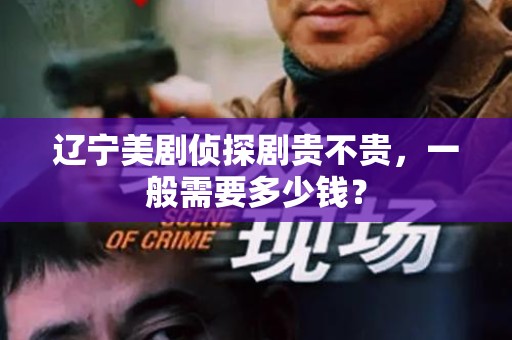 辽宁美剧侦探剧贵不贵，一般需要多少钱？