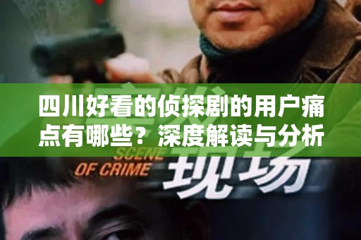 四川好看的侦探剧的用户痛点有哪些？深度解读与分析