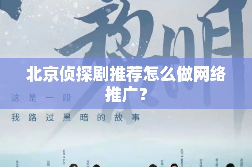 北京侦探剧推荐怎么做网络推广？