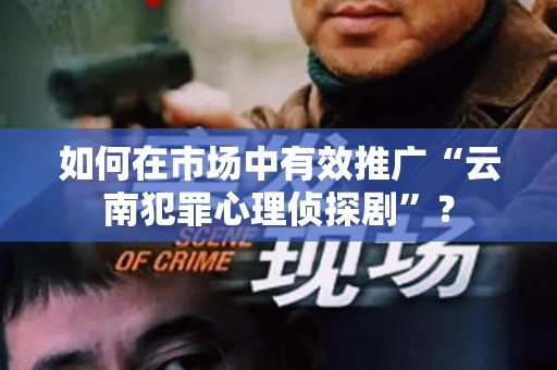如何在市场中有效推广“云南犯罪心理侦探剧”？