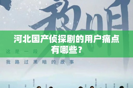 河北国产侦探剧的用户痛点有哪些？