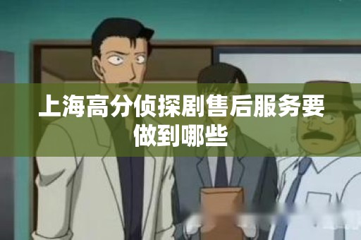 上海高分侦探剧售后服务要做到哪些