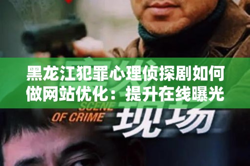 黑龙江犯罪心理侦探剧如何做网站优化：提升在线曝光率与用户体验
