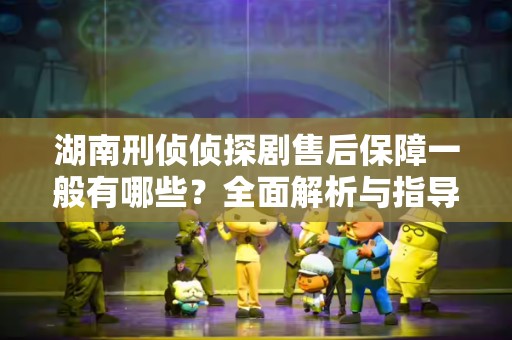湖南刑侦侦探剧售后保障一般有哪些？全面解析与指导