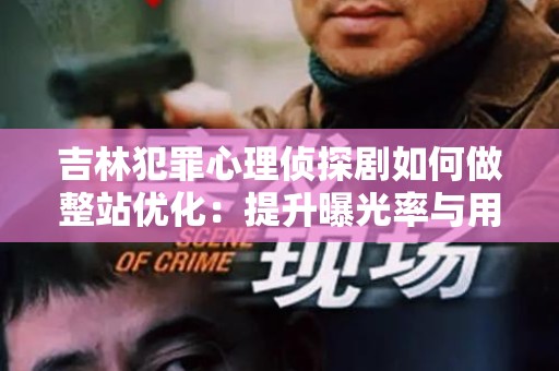 吉林犯罪心理侦探剧如何做整站优化：提升曝光率与用户体验