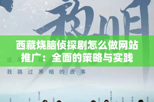 西藏烧脑侦探剧怎么做网站推广：全面的策略与实践