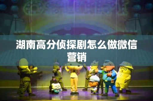 湖南高分侦探剧怎么做微信营销