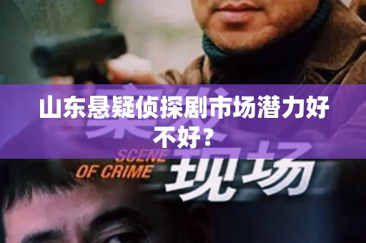 山东悬疑侦探剧市场潜力好不好？