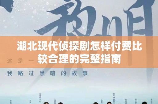 湖北现代侦探剧怎样付费比较合理的完整指南