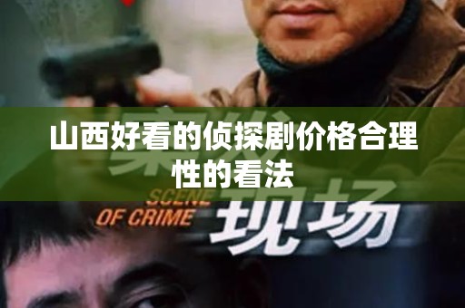 山西好看的侦探剧价格合理性的看法
