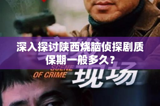 深入探讨陕西烧脑侦探剧质保期一般多久？