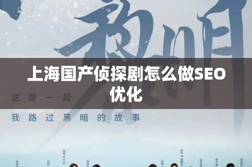 上海国产侦探剧怎么做SEO优化