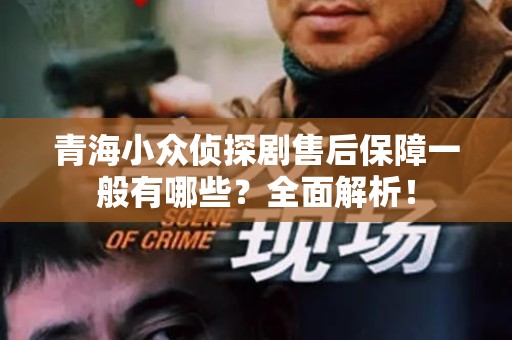 青海小众侦探剧售后保障一般有哪些？全面解析！
