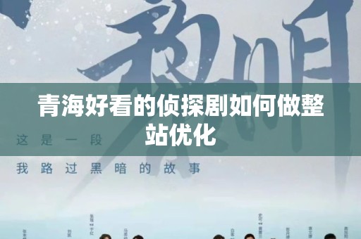 青海好看的侦探剧如何做整站优化
