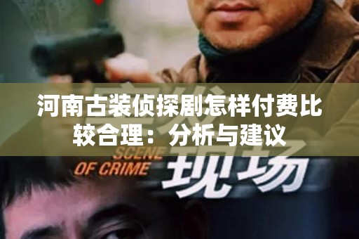 河南古装侦探剧怎样付费比较合理：分析与建议