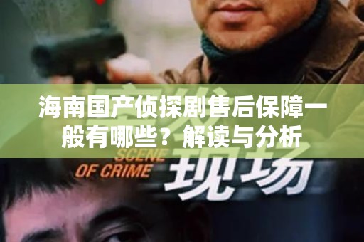 海南国产侦探剧售后保障一般有哪些？解读与分析