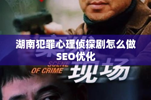 湖南犯罪心理侦探剧怎么做SEO优化
