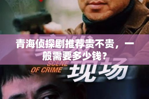 青海侦探剧推荐贵不贵，一般需要多少钱？