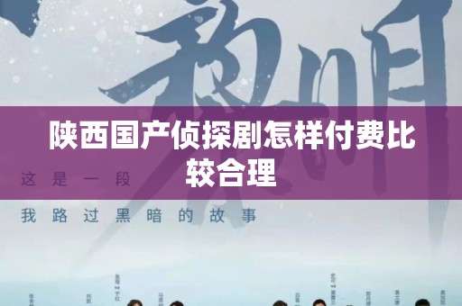 陕西国产侦探剧怎样付费比较合理