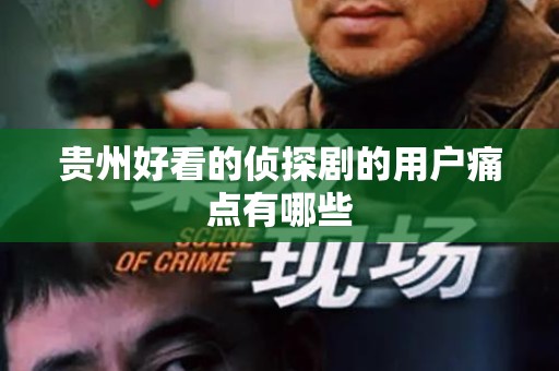 贵州好看的侦探剧的用户痛点有哪些