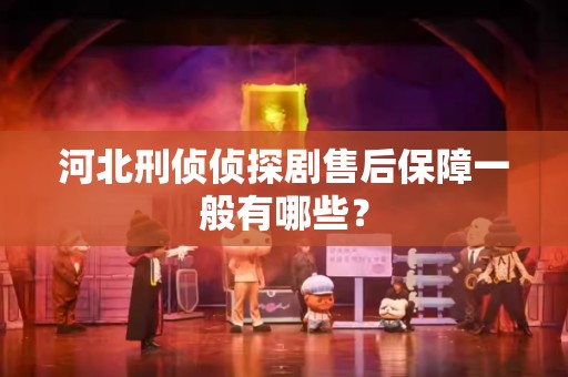 河北刑侦侦探剧售后保障一般有哪些？