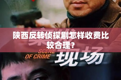 陕西反转侦探剧怎样收费比较合理？