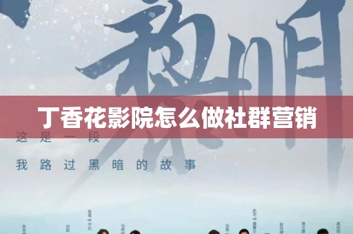 丁香花影院怎么做社群营销