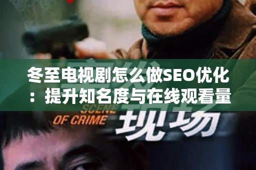 冬至电视剧怎么做SEO优化：提升知名度与在线观看量的完整指南