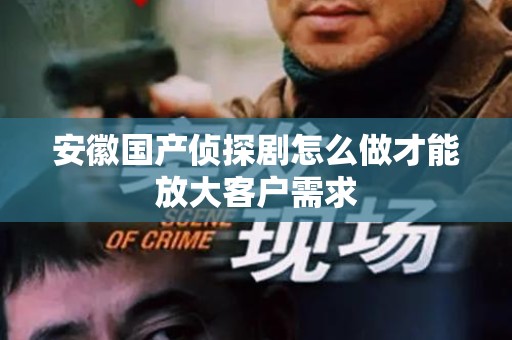 安徽国产侦探剧怎么做才能放大客户需求