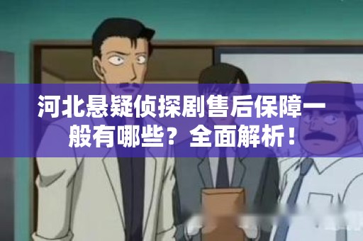 河北悬疑侦探剧售后保障一般有哪些？全面解析！