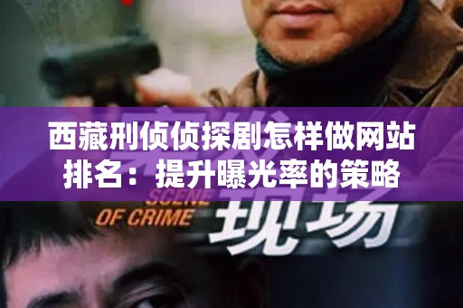 西藏刑侦侦探剧怎样做网站排名：提升曝光率的策略