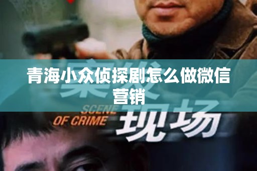 青海小众侦探剧怎么做微信营销