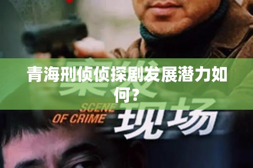 青海刑侦侦探剧发展潜力如何？