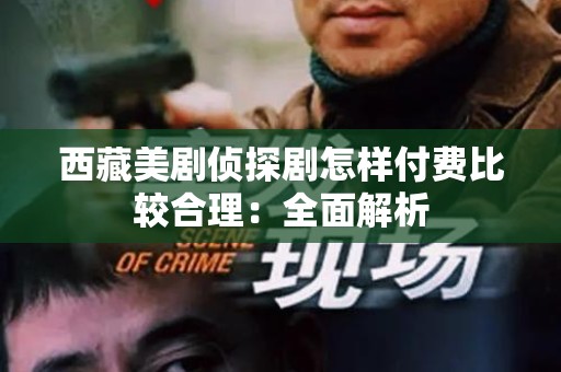 西藏美剧侦探剧怎样付费比较合理：全面解析
