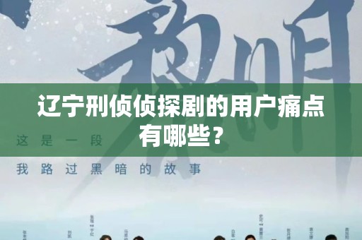 辽宁刑侦侦探剧的用户痛点有哪些？