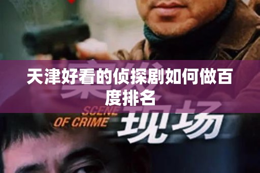 天津好看的侦探剧如何做百度排名