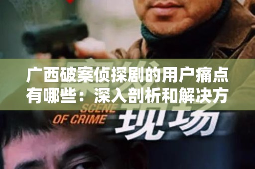 广西破案侦探剧的用户痛点有哪些：深入剖析和解决方案