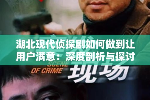 湖北现代侦探剧如何做到让用户满意：深度剖析与探讨